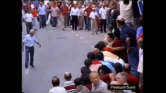 Невероятно! Разъяренный бык узнаёт своего хозяина! смотреть онлайн