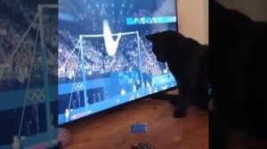 Испортил выступление канадского спортсмена