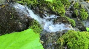 Успокаивающий звук Водопада. 8 часов  Релаксации и Расслабления.