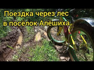 Поездка на Фэтбайке через лес в сторону посёлка Алёшиха