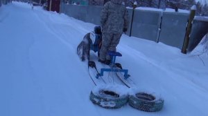 Укатываем снег на дороге.
