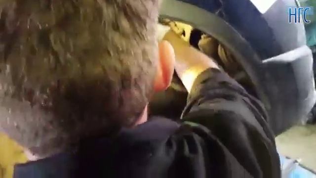 Сотрудники СТО достали кошку смотреть онлайн