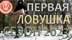 Первая ловушка на пчёл сезона 2023. Начинаю установку ловушек и поиск мест, где буду ловить пчёл
