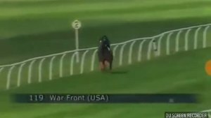 самая быстрая лошадь в мире !