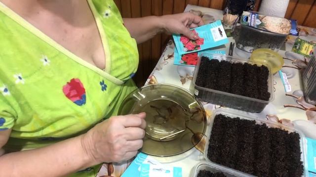 Сеем петунию.