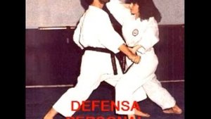 Club Shotokan.wmv