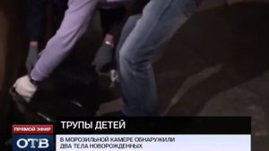 Тела новорождённых найдены в морозильной камере