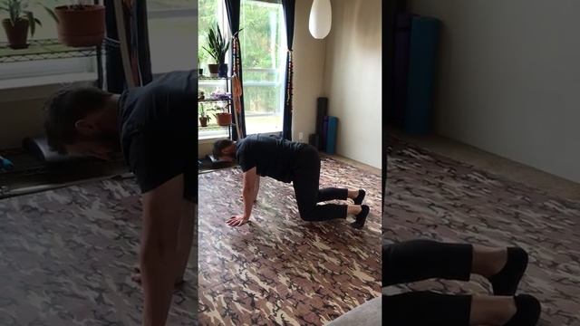 Plank Games! смотреть онлайн