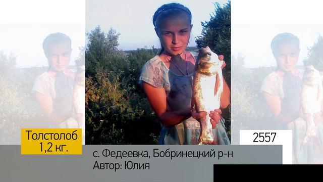 Фотоальбом - Рыбалка №511 смотреть онлайн