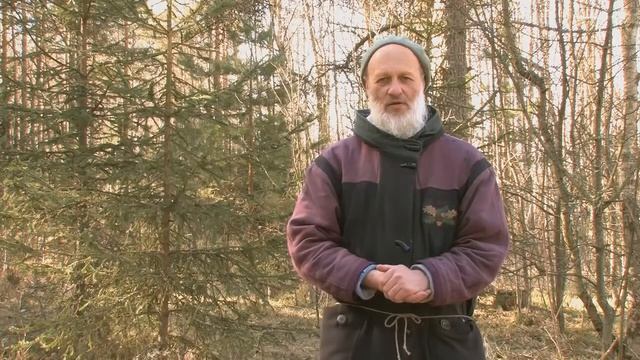 ПСИХИЧЕСКАЯ САМОРЕГУЛЯЦИЯ. Экопсихология. Владимир Антонов