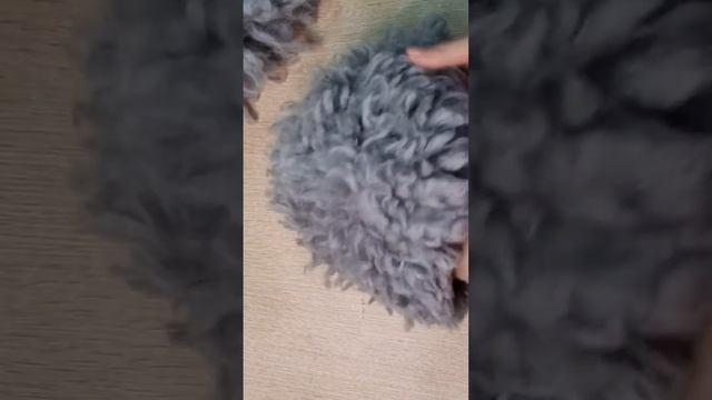 Валяная шапка. Уход за валяными вещами с экомехом смотреть онлайн