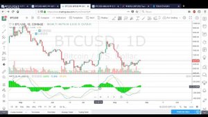 Индикатор MACD как правильно использовать и заработать