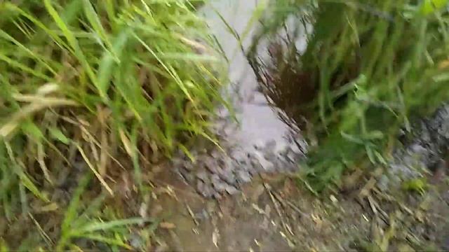 Утром рыбалим. смотреть онлайн