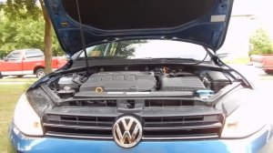 VW 2.0L TDI EA288 Diesel Engine Sounds: Start, Idle, Revs