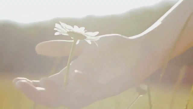 "Дама сногсшибательного возраста" - стихи Марианны Черкасовой, музыка Татьяны Михайличенко смотреть онлайн