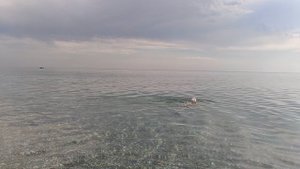 PXL_20230923_115225086