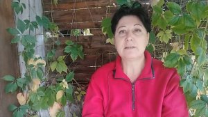 Осёл умрёт&Падишах сдохнет /// Мы не хотим умирать