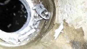 Газель 402 вырвало резьбу с вертышем 1-го цилиндра восстановление