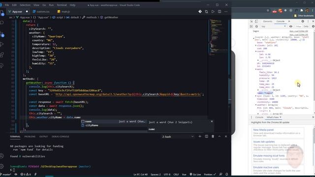 Build Weather App with Vue CLI | For Vue JS beginners