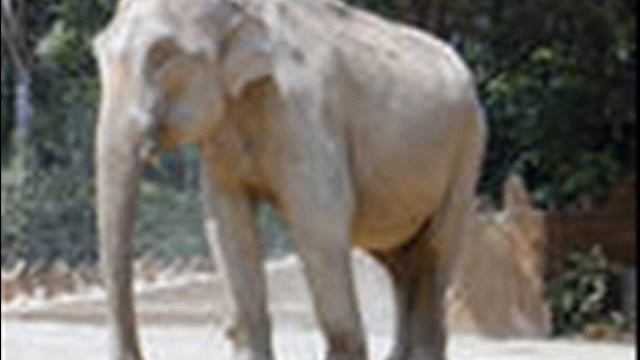 Ветер перемен на планете ЗЕМЛЯ и в бизнесе!!! смотреть онлайн