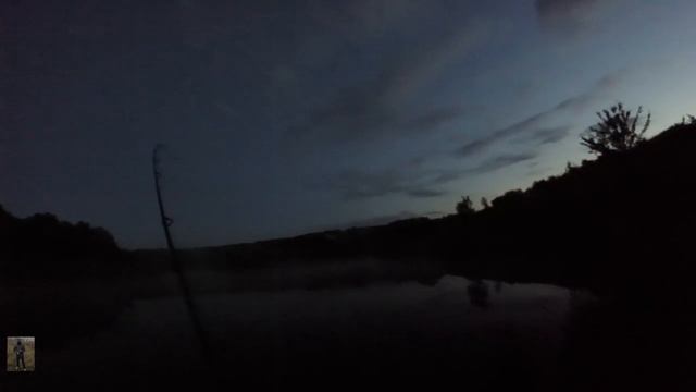 Рыбалка с ночевкой! Ловля карпа на фидер на пруду. Ловля толстолоба со дна на кормушку. смотреть онлайн