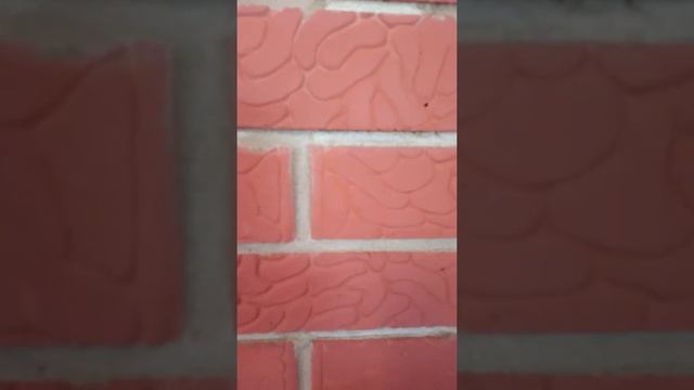 Атом-колор пропитка и лак ко-85 смотреть онлайн