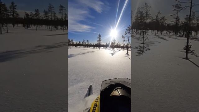 powder perfect saturday ❄ #sweden  #snowmobile