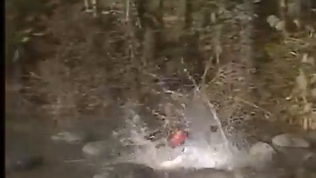Японские фэйлы