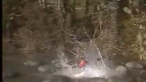 Японские фэйлы