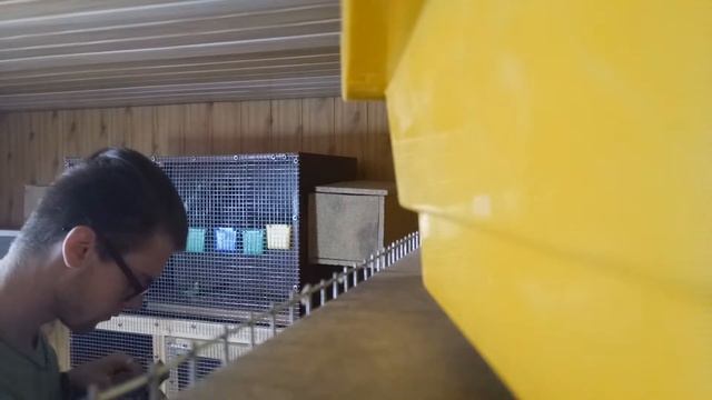 ЗАБЫЛ ЗАКРЫТЬ ДВЕРЬ, попугай чуть не улетел на улицу - РАЗВЕДЕНИЕ ВОЛНИСТЫХ ПОПУГАЕВ смотреть онлайн