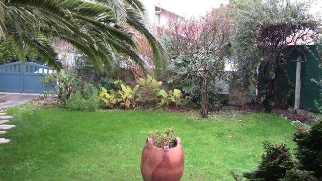 Canon Legria HF R27 video Test 1080p Garden смотреть онлайн