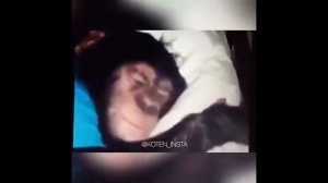 Ержан, вставай, на работу пора!