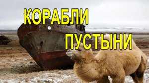 Вместо воды песок: как умирало Аральское море.