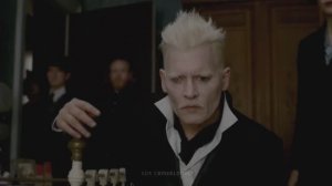 ❥ Gellert Grindelwald _ Toxic