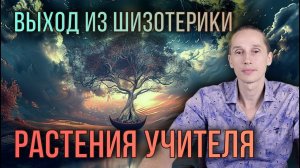 Совместимы ли Эзотерика и Растения-Учителя? Взгляд на Духовное Развитие