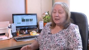 Бактериальный ожог риса (Xanthomonas oryzae pv. oryzae (Ishiyama) Swings et al)