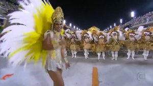 Карнавал в Рио-де-Жанейро 2012 (4)