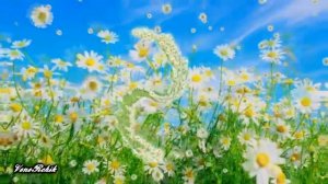 Туган көнең белән!