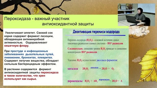 Откройте для себя лучшие препараты для лечения заболеваний дыхательных путей Брес Из