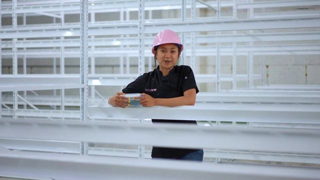 What's In The Bag? And Building Hydroponic Racks | This week's fresh Greens, Smoothies, & Shrooms смотреть онлайн