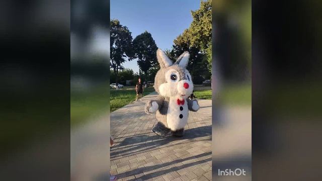 Серый заяц на прогулке