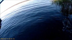 Воблер Вигл Стик  от Страйк Про , ловля щуки.