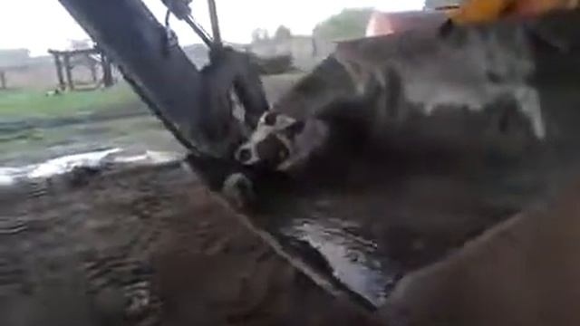 Бетономешалка быстро и удобно