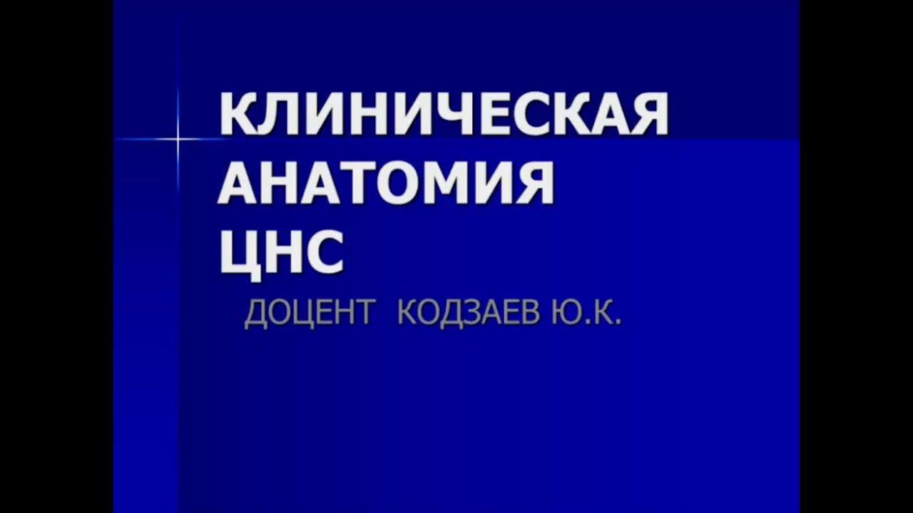 Кодзаев Ю.К. Клиническая анатомия ЦНС. смотреть онлайн
