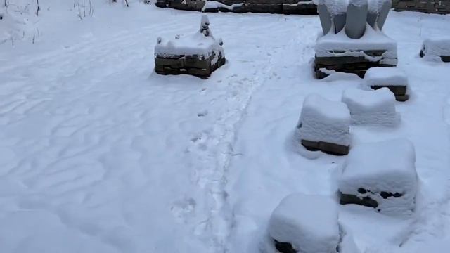 Шарташ по морозу смотреть онлайн