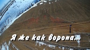 Я же как ворона.