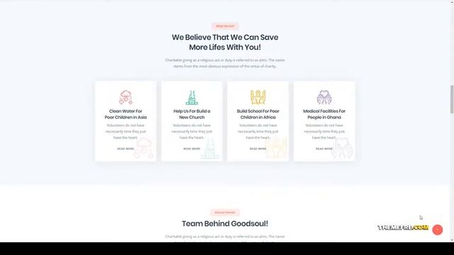 Charitian - NonProfit Charity WordPress Theme charity theme charity wp Erika смотреть онлайн