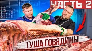 РАЗДЕЛКА и обвалка говядины ПО АМЕРИКАНСКОЙ СИСТЕМЕ NAMP. Передняя четверть