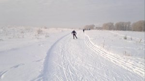 Техника конькового хода. Еще год прошел.