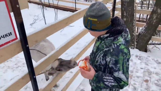 VLOG #1 Мы приехали в зоопарк! смотреть онлайн